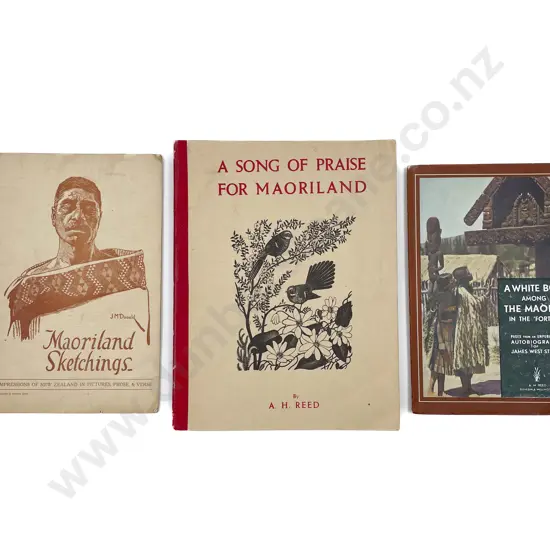 3 Maori Booklets