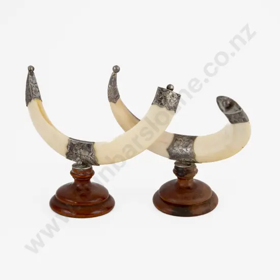 Pair Of Boar Tusk Knife Stands