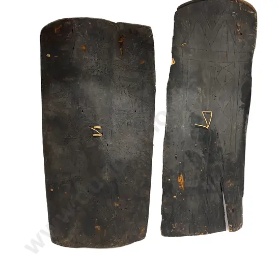 Two Large Ramu River Shields From Papua New Guinea