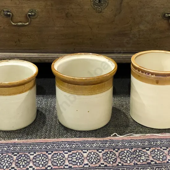 Three Stoneware Crocs