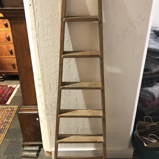 Small Tapering Wooden Ladder