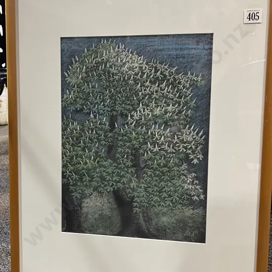 Unknown Artist - Flowering Chestnut - Pastel on Paper