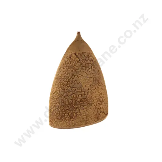 Large Richard Cadness Specimen Vase