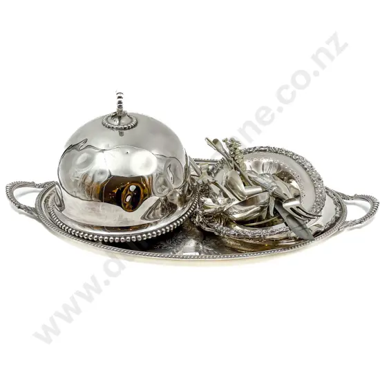 Quantity of Assorted S/P Including Food Cover