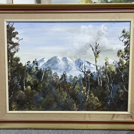 Unknown Artsit - NZ Alpine & Bush View - Oil on Board