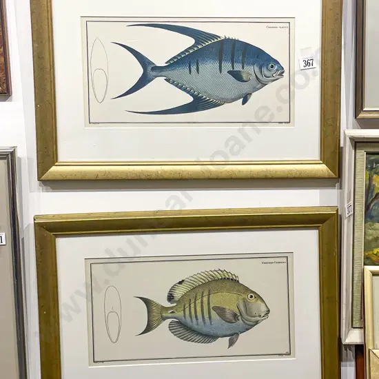 Pair of Fish Study Book Plates