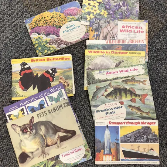 Box of Assorted Vintage Cigarette Card Albums