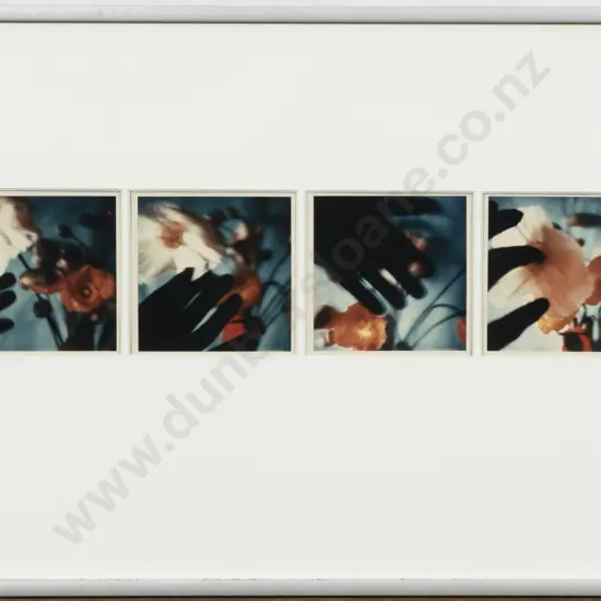 Christine Lloyd-Fitt - Poppies With Intruder