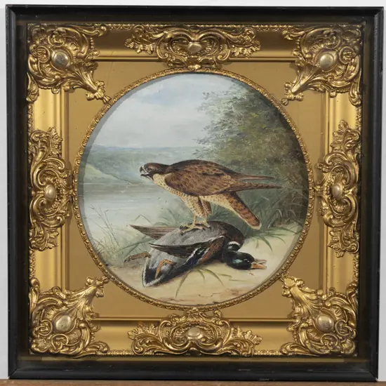 Louis (?) - Peregrine & Mallard