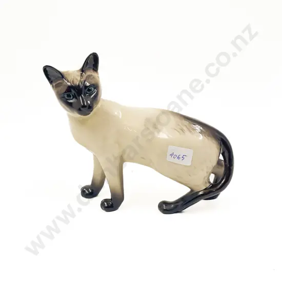 RD Siamese Cat