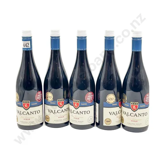 Spanish 2022 Valcanto Syrah x5 btls