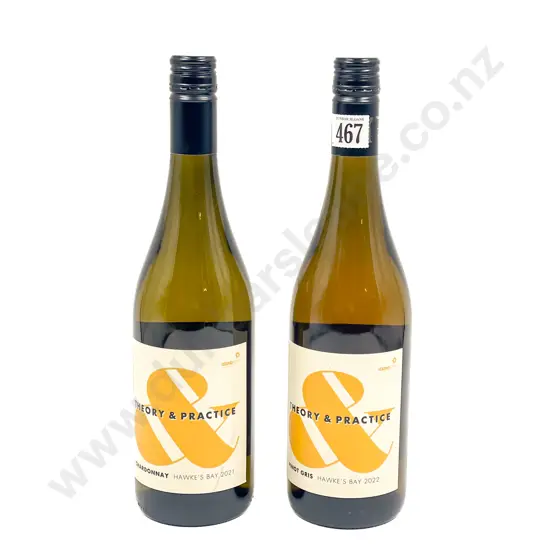 NZ 2022 Theory & Practice Pinot Gris x2 btls