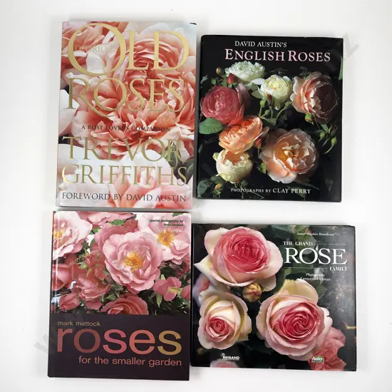 David Austin's English Roses & Three Others