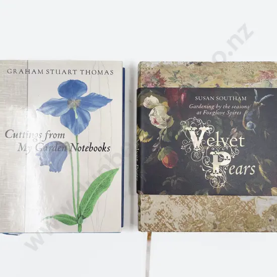 Velvet Pears by Susan Southam