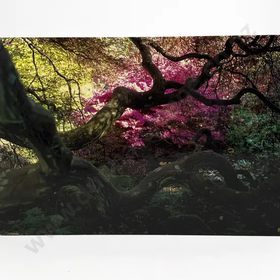 A Gardener's Labyrinth by T Traeger & P Kinmonth