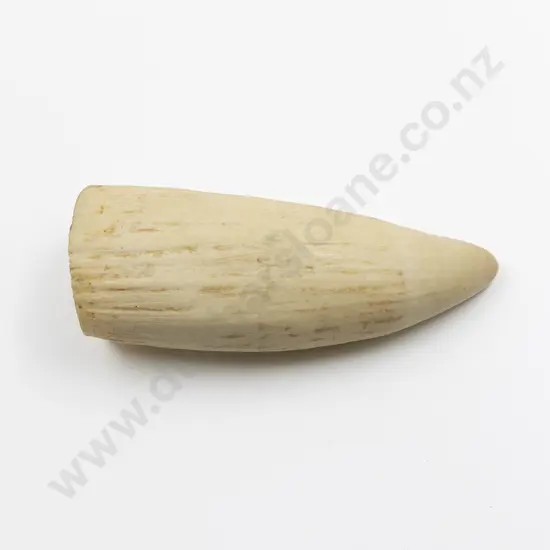 Large Sperm Whale Tooth