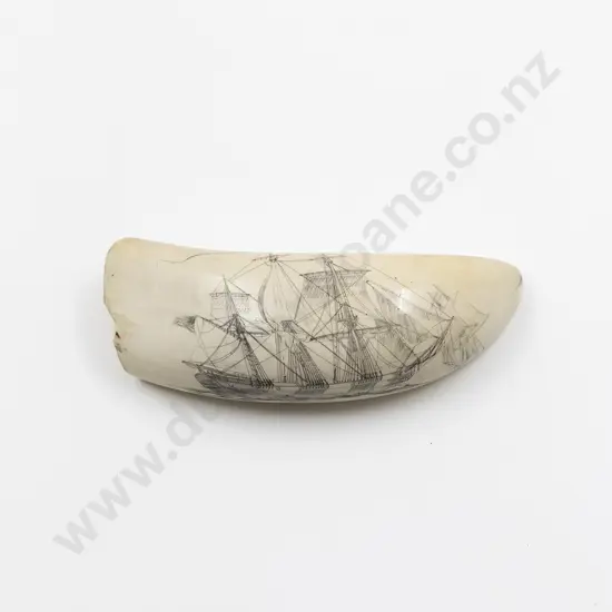 Antique Sperm Whale Scrimshawed Tooth
