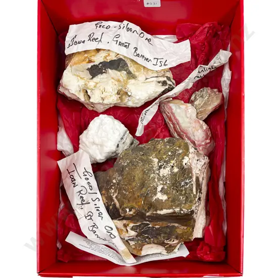 Box Quantity of Assorted Gold/Ore Specimens from Iona Reef
