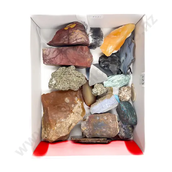 Mixed Mineral Rock Specimens