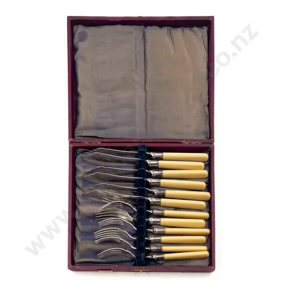 Boxed Bone Handled Fish Service