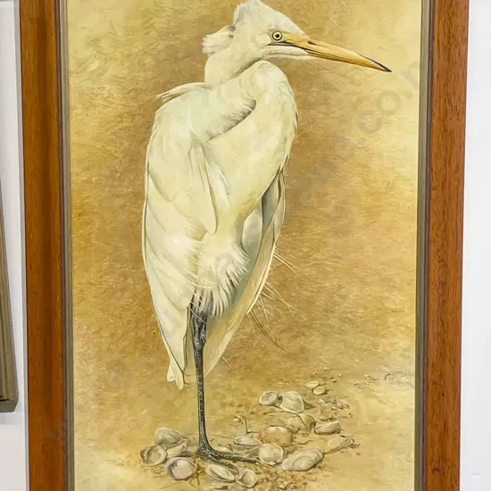 J Blackburn - Crane Study - Acrylic on Canvas Board