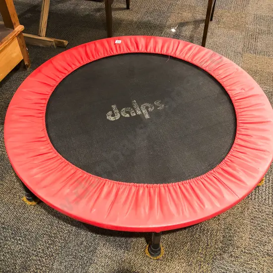 Fitness Trampoline