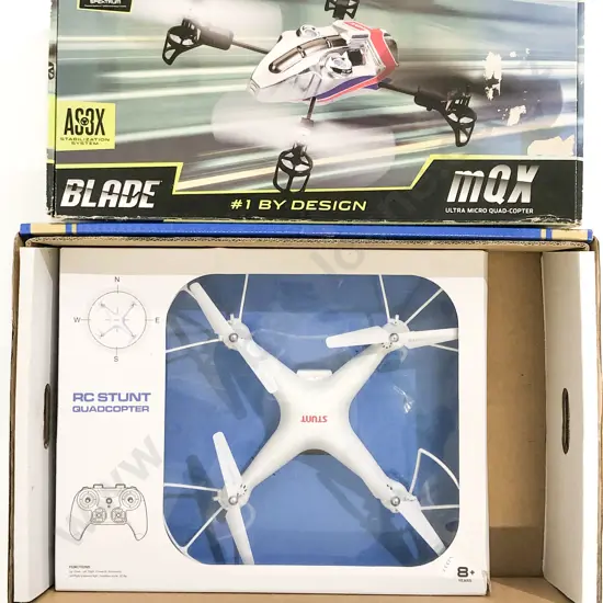 Two Remote Control Fliers