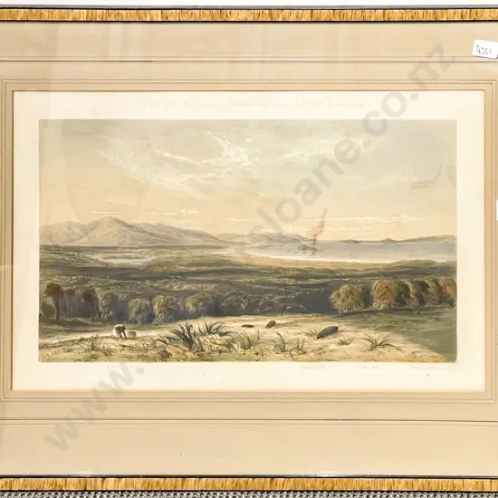 Hand Coloured Lithograph Port Nicholson from the Hills C1840 (af)