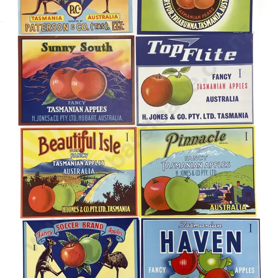 Fifteen Assorted Vintage Tasmanian Fruit Box Labels