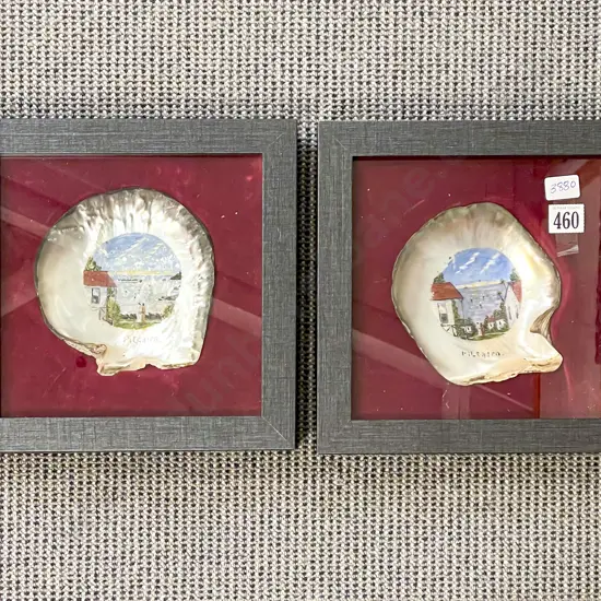 Pair Framed Oyster Shells Vintage Pitcairn Island Souvenirs