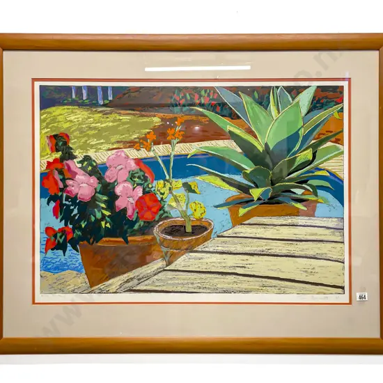 Tom Burnett - Pot Plants