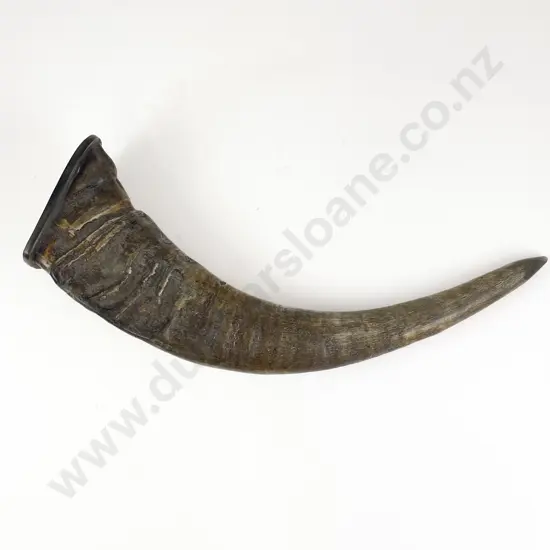 Mounted African Horn