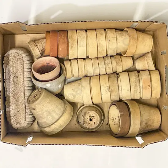 Qty of Assorted Small Garden Pots