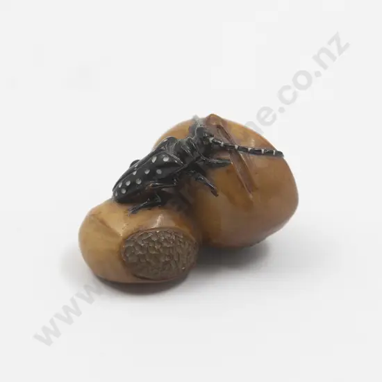 Japanese Ivory Netsuke Of A Beatle Crawling Over Two Seed Pods