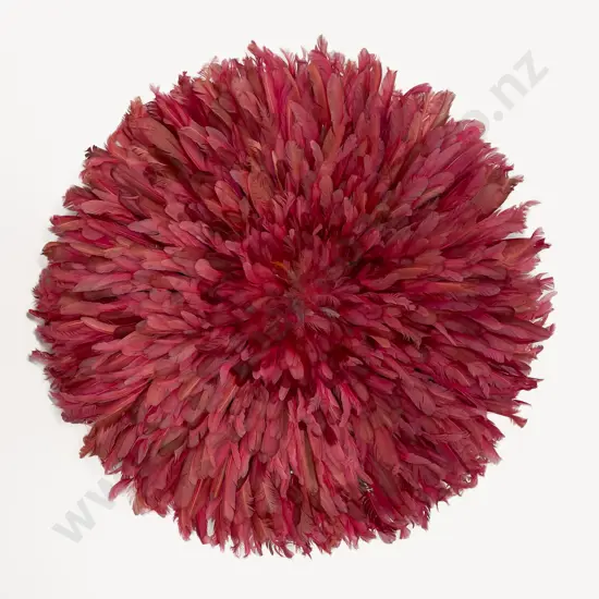 A Large African Feather Head Adornment