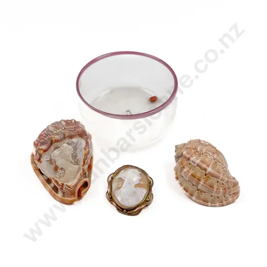 Cameo Brooch together with Two Cameo Shells