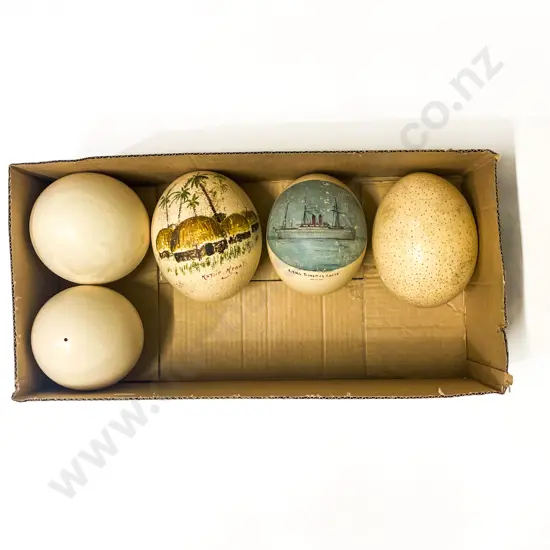 Five Assorted Ostrich Eggs incl Hand Painted