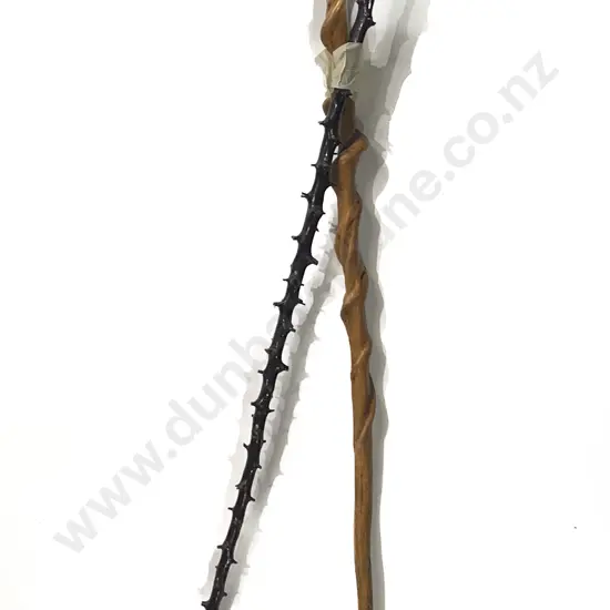 Black Thorn Walking Stick with NZ Creeper