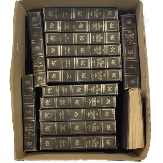 Two Boxes of "The Encyclopedia Americana"