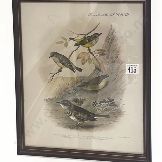 Ornithological Book Plate