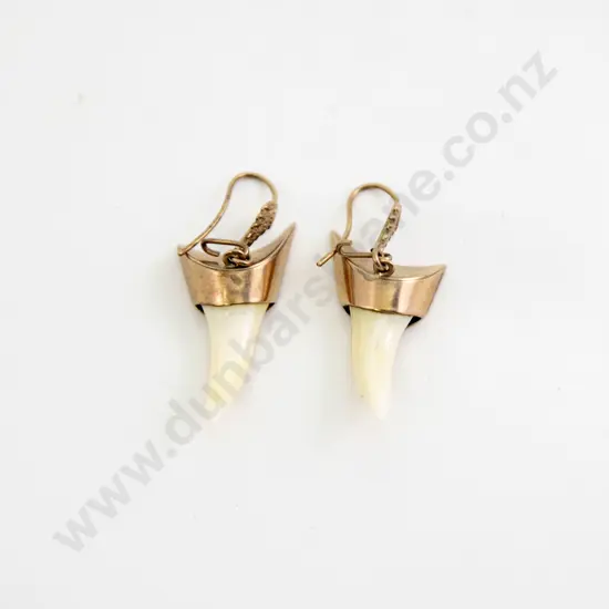 Pair 9ct Mounted Shark Tooth Earrings