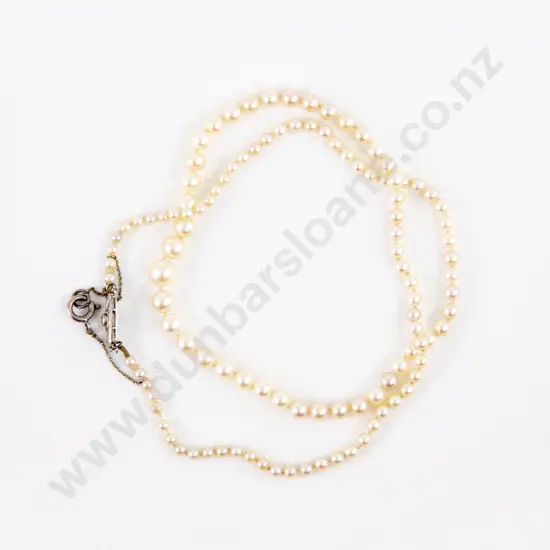 Single Strand Graduated Cultured Pearl Necklace