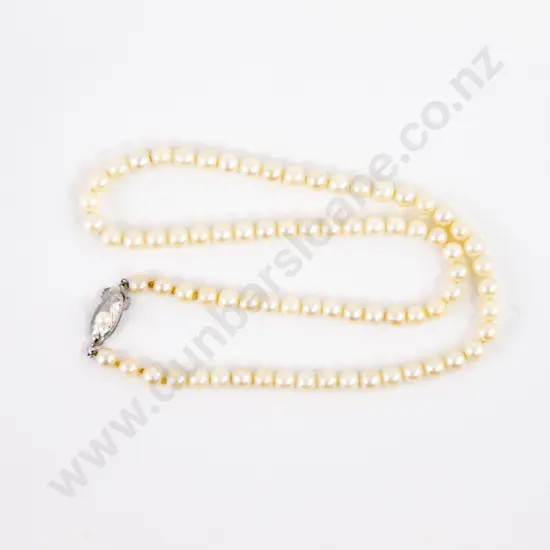 Single Strand Uniform Cultured Pearl Necklace