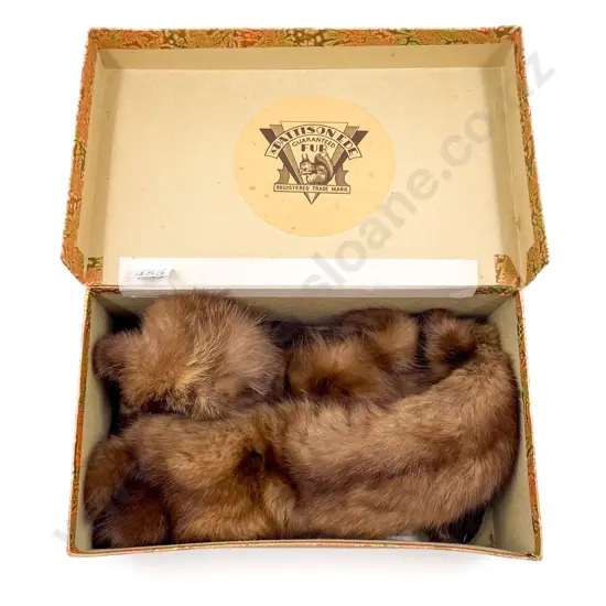 Original Boxed Pattison Ede Fur Collar Piece