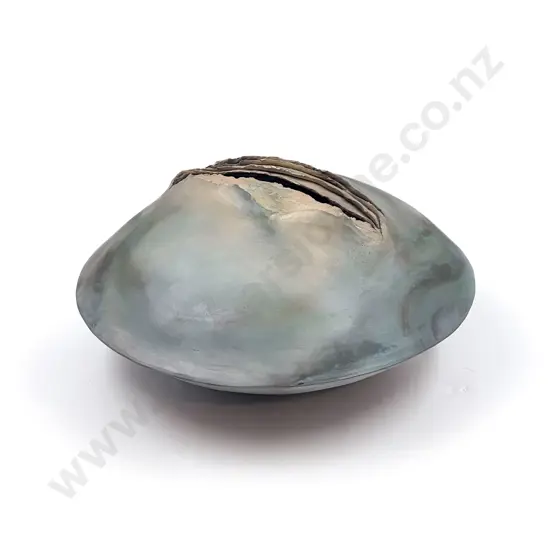 Patti Meads Pottery Form