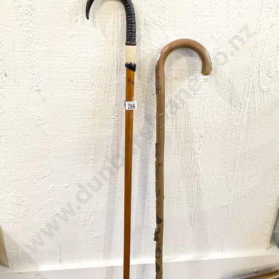 Two Assorted Decorative Walking Sticks