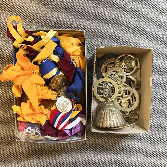 Large Collection South Island Gun Club Medals Ribbons & Badges with Assorted Brassware