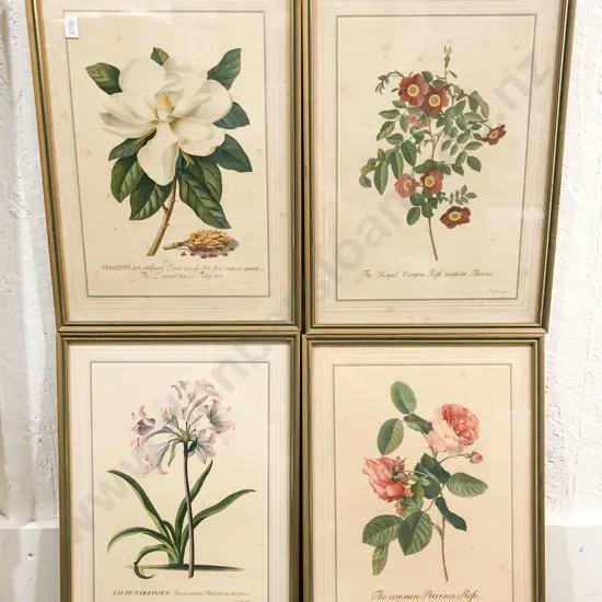 Four Botancial Study Framed Book Plates