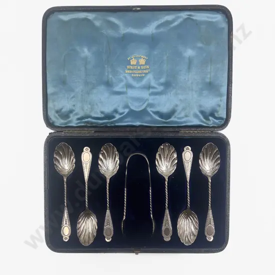 Cased S/S Teaspoons and Tongs