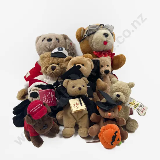 Collection of Assorted Teddy Bears